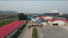 首届赞皇高邑陶高邑举行